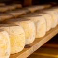 Parmesan: Asırlık Lezzetin Hikayesi, Kullanım Alanları ve Kültürel Yolculuğu